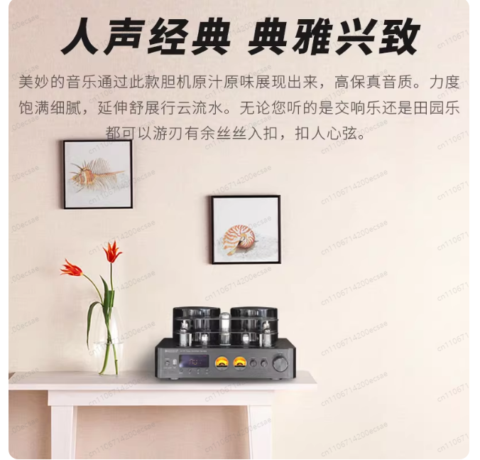Wzmacniacz lampowy Hi-Fi bezpr – Audio Youtube Music Free recenzja i cena