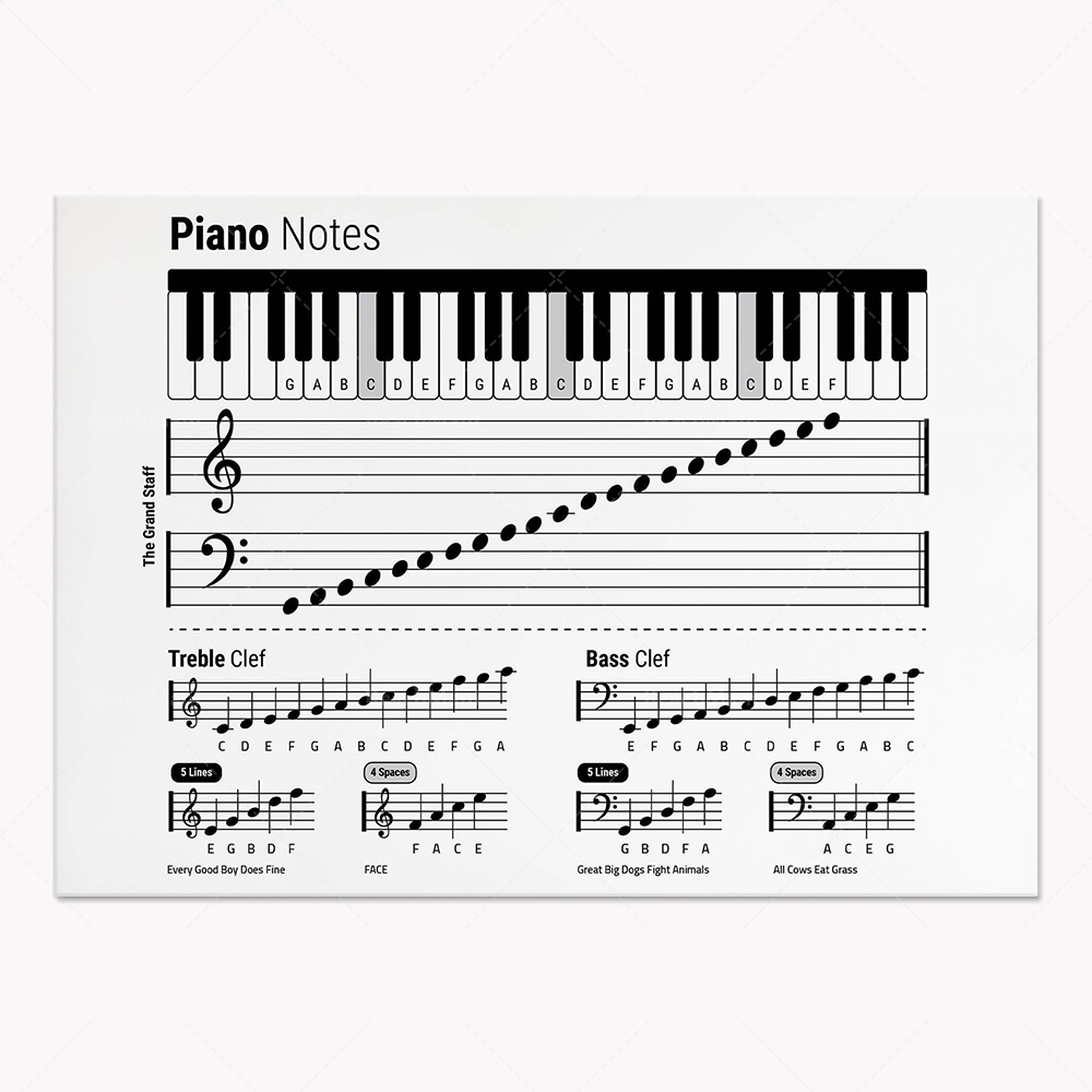 Teoria gitarowe, pianino, widm – Audio Into Music Sheet recenzja i cena